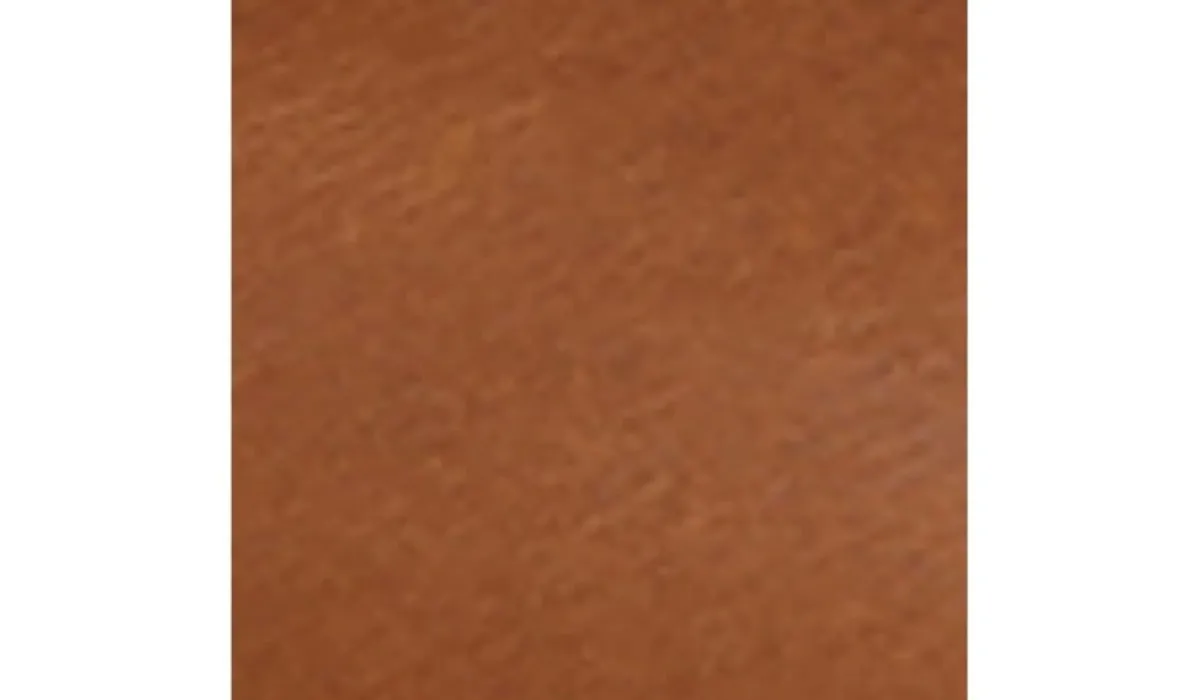 Timberland Bottes^Botte De Randonnee Resistante A Leau Ellendale Pour Femmes