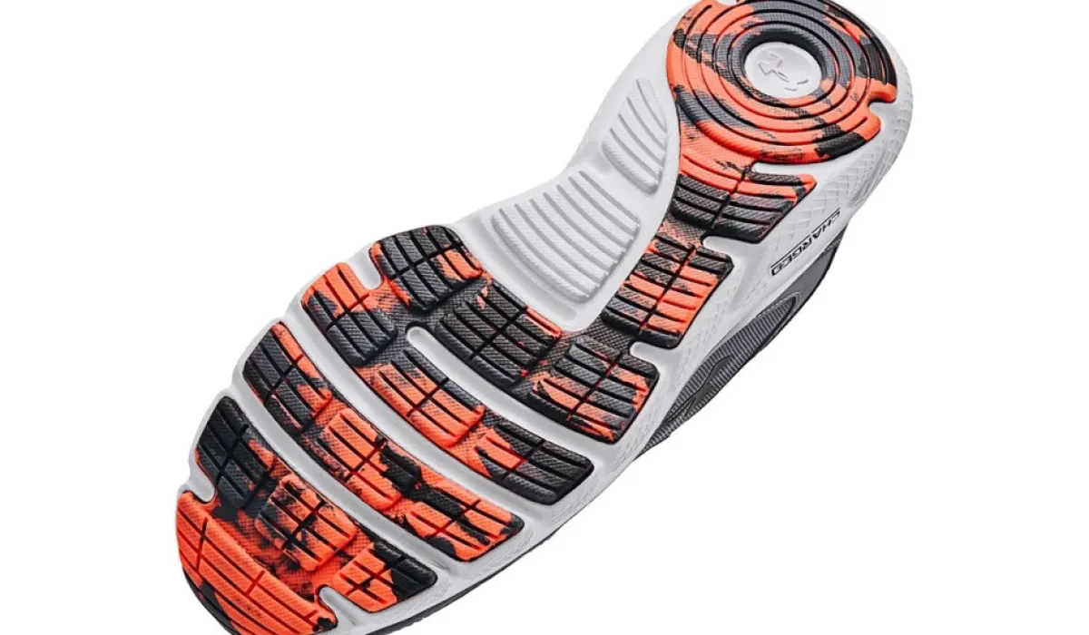 Under Armour Chaussures Sport^Chaussure De Course Charged Assert 9 Pour Hommes Moyen/Large