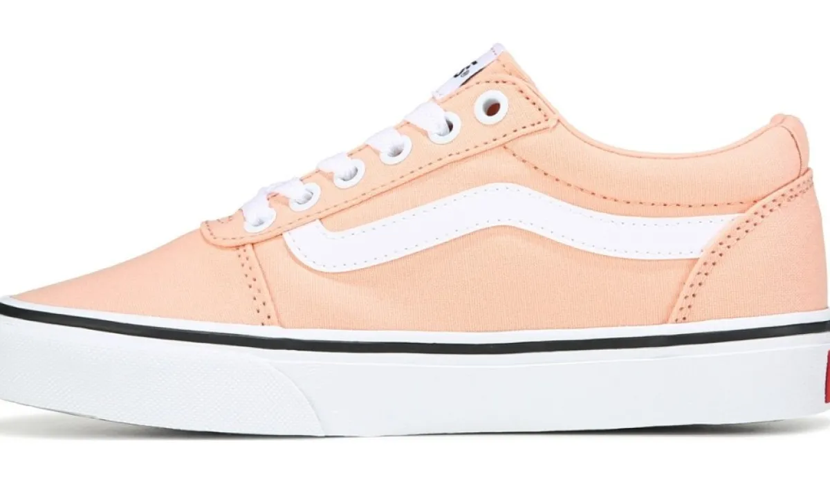 Vans Chaussures Sport^Chaussure De Planchiste Basse Ward Pour Femmes