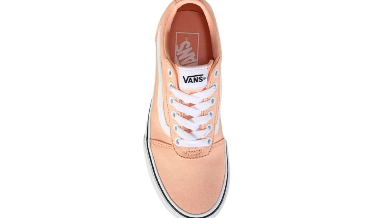 Vans Chaussures Sport^Chaussure De Planchiste Basse Ward Pour Femmes