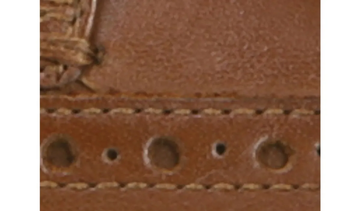 Cole Haan Flâneurs & Richelieu^Richelieu A Bout Golf Grand Plus Pour Hommes